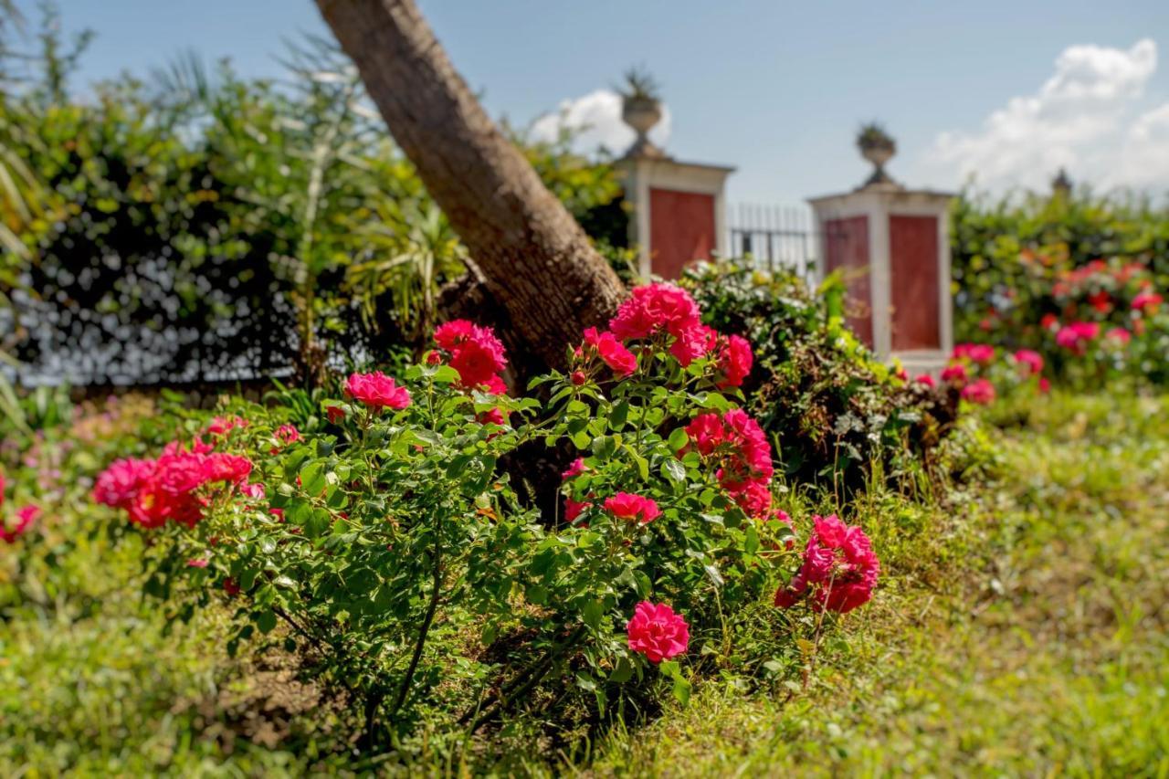 卡斯特拉玛雷帝斯达比亚Relais Al Castello住宿加早餐旅馆 外观 照片